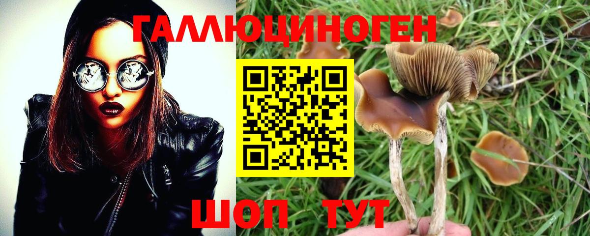Галлюциногенные грибы MAGIC MUSHROOMS Урюпинск